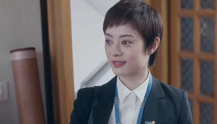 电视剧安家多少集