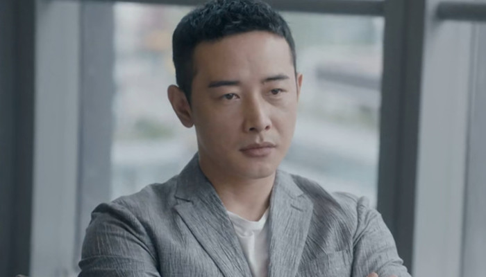 电视剧安家多少集