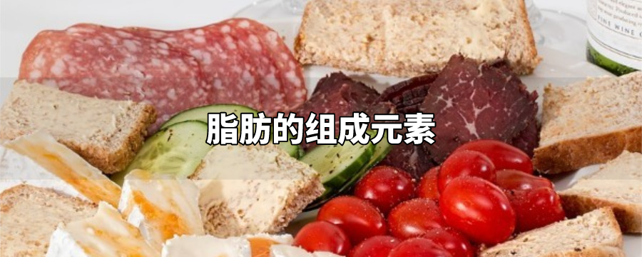 脂肪的组成元素