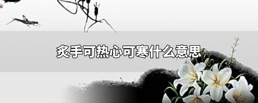 炙手可热心可寒什么意思
