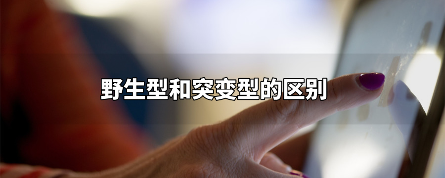 野生型和突变型的区别