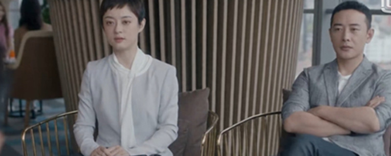 电视剧安家一共多少集