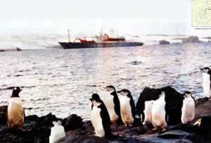 1984年11月20日 我国首次赴南极洲考察船队启航