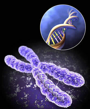 科学家完整破译第22对人体染色体遗传密码
