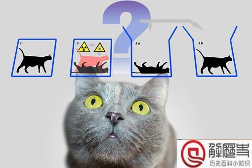 薛定谔的猫为什么恐怖 其实对双缝试验的不理解并不能叫恐怖