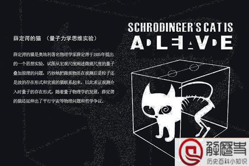 薛定谔的猫为什么恐怖 其实对双缝试验的不理解并不能叫恐怖