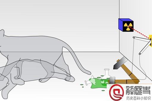 薛定谔的猫为什么恐怖 其实对双缝试验的不理解并不能叫恐怖