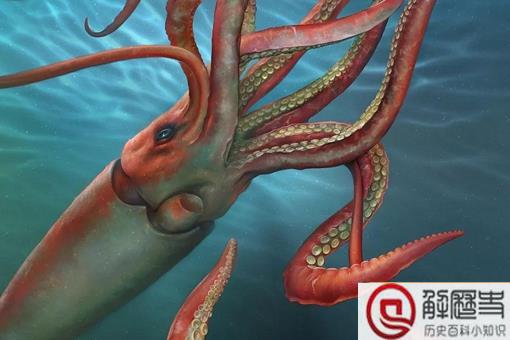 乌贼为什么是四维生物 思维生物真的存在吗