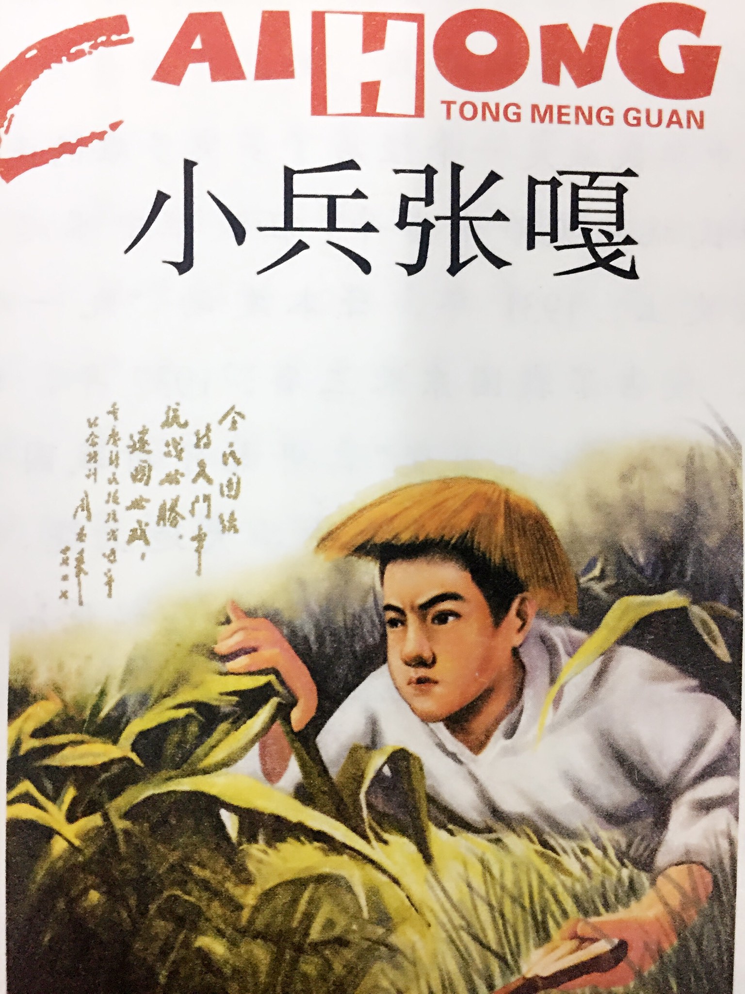 小兵张嘎观后感
