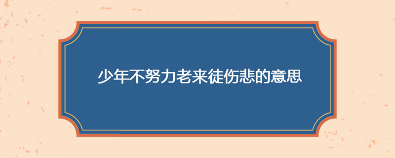 少年不努力老来徒伤悲的意思