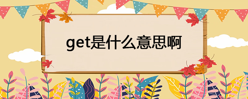 get是什么意思啊
