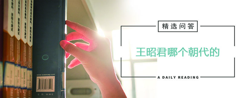 王昭君哪个朝代的