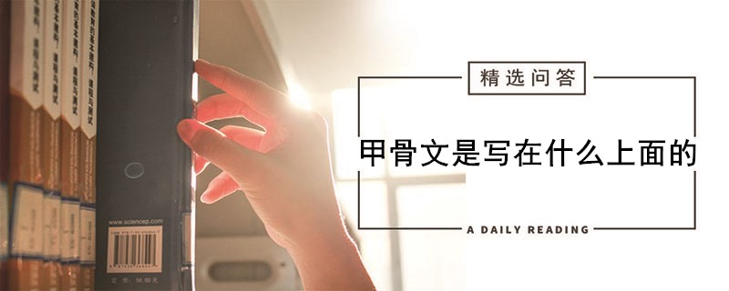 甲骨文是写在什么上面的