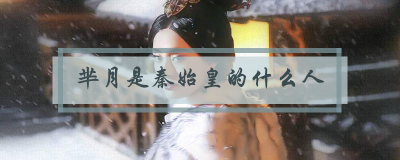 芈月是秦始皇的什么人