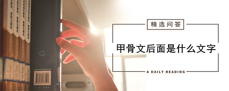 甲骨文后面是什么文字