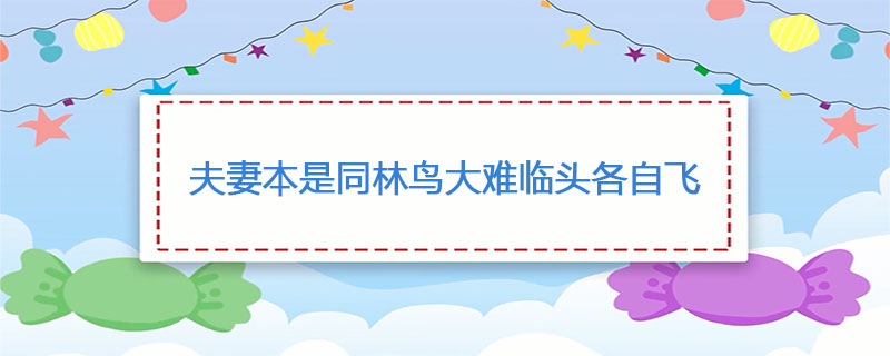 夫妻本是同林鸟大难临头各自飞什么意思