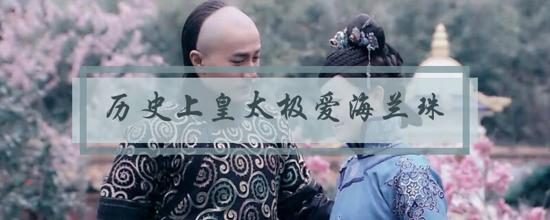 历史上皇太极到底爱谁