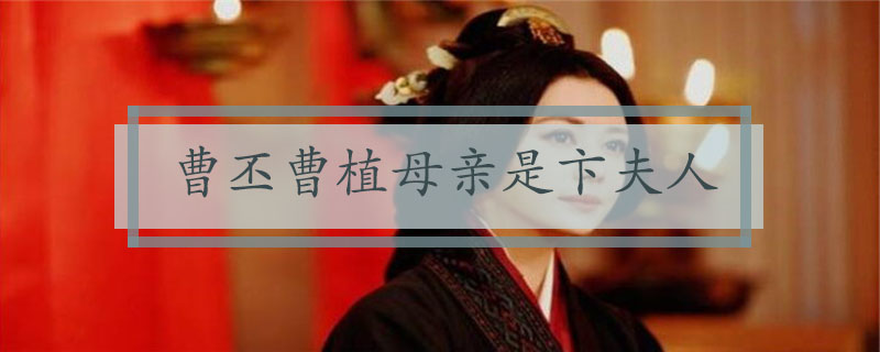 曹丕曹植母亲是谁