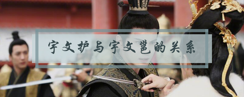 宇文护与宇文邕的关系