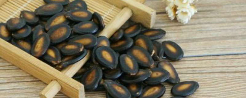 一般我们吃的零食西瓜子是夏天常吃的西瓜里的籽吗