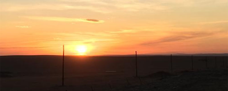 蒙汉情深何忍别天涯碧草话斜阳的意思