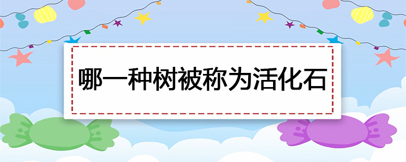 哪一种树被称为活化石