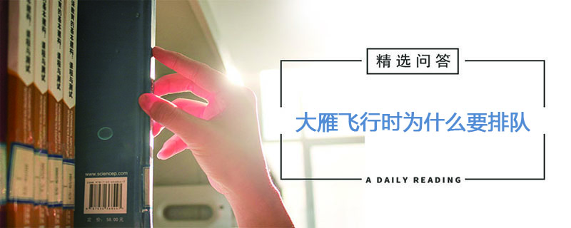 大雁飞行时为什么要排队