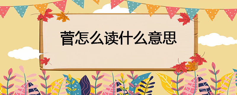 菅怎么读什么意思
