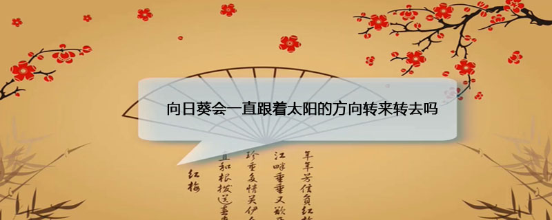 向日葵会一直跟着太阳的方向转来转去吗