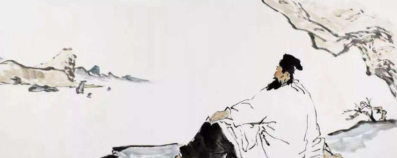 拣尽寒枝不肯栖寂寞沙洲冷说的是哪种鸟