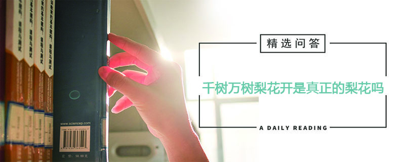 千树万树梨花开是真正的梨花吗