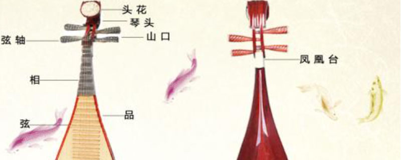 乐器琵琶本命枇杷，枇杷一词来源于