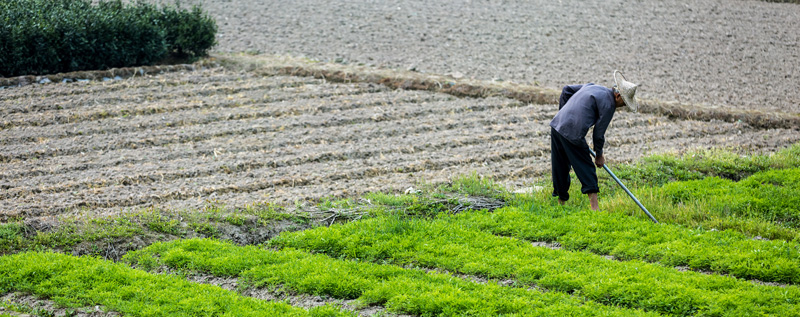 悯农这首诗告诉我们一个什么道理