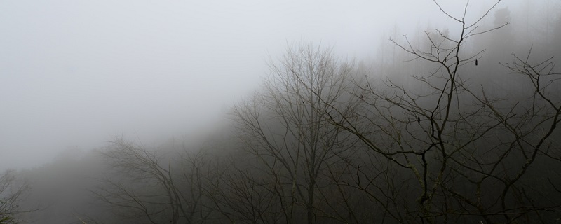 草色新雨中,松声晚窗里描写了什么样的景象