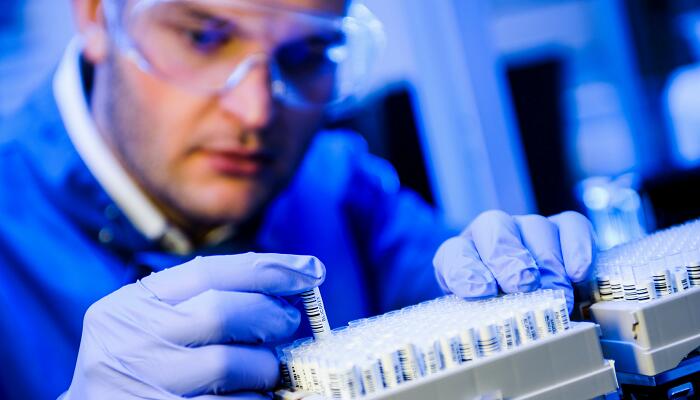 自由组合定律发生在什么时期