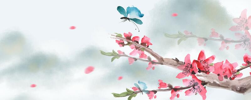 咏素蝶诗诗词鉴赏