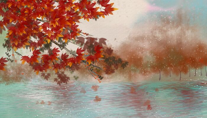 秋词抒发了作者怎样的情感