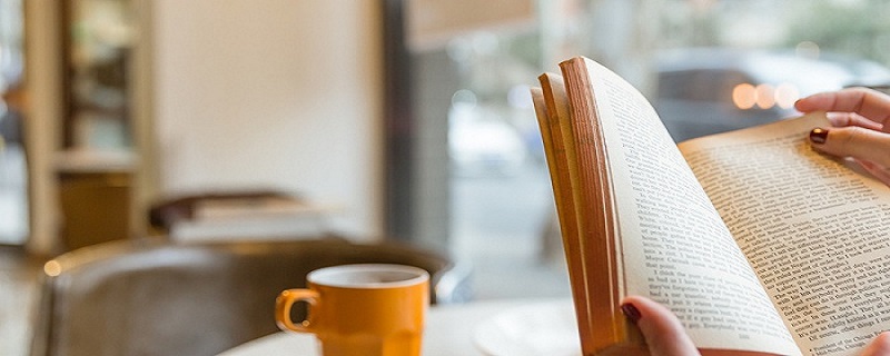 入团介绍人意见