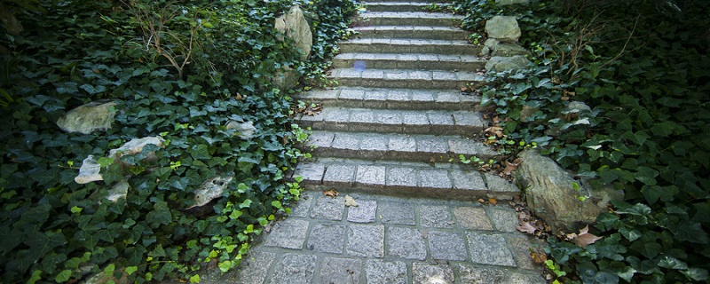 红雨随心翻作浪青山着意化为桥修辞手法