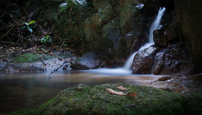 小石潭记按照什么顺序写描写景物的