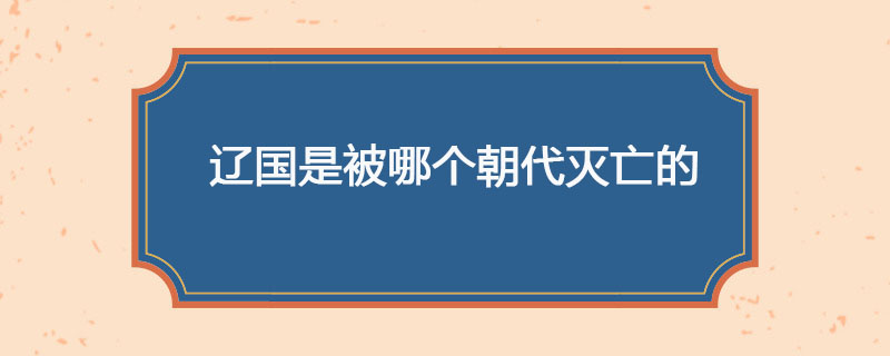 辽国是被哪个朝代灭亡的