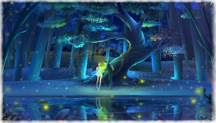 美丽的夏夜短文写了夏夜的什么景色