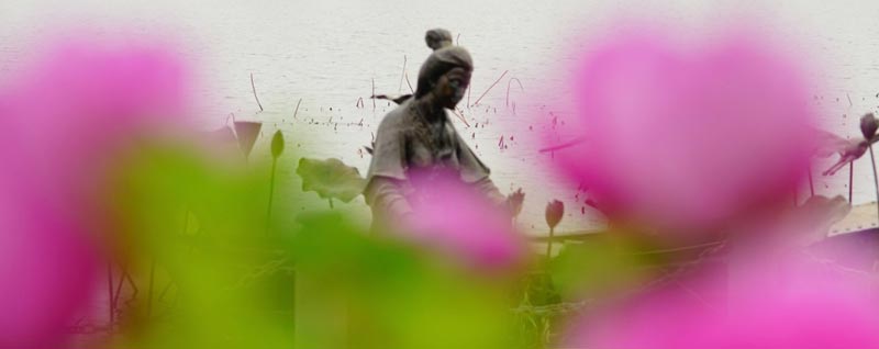 如梦令昨夜雨疏赏析