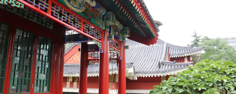 红楼梦三十九回概括