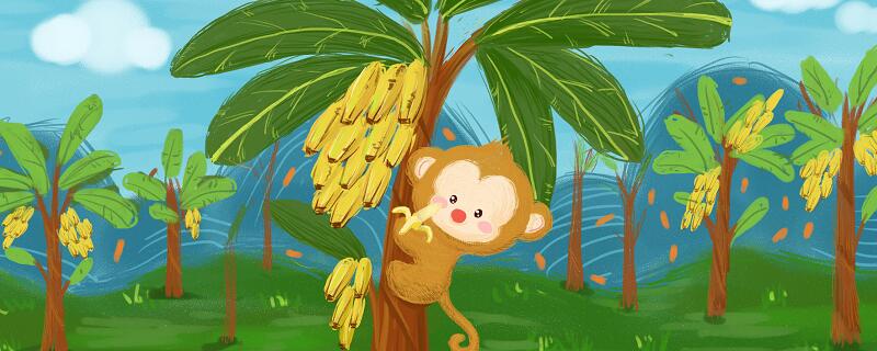 猴子建筑师这篇短文告诉我们一个什么道理