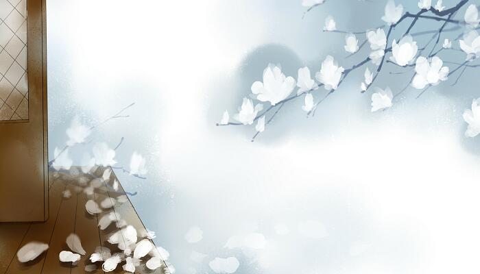 江半读不寻花古诗的意思