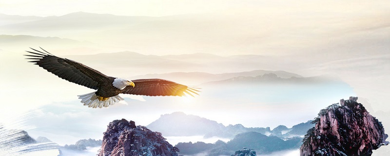 小鹰跟着老鹰学飞告诉我们什么道理