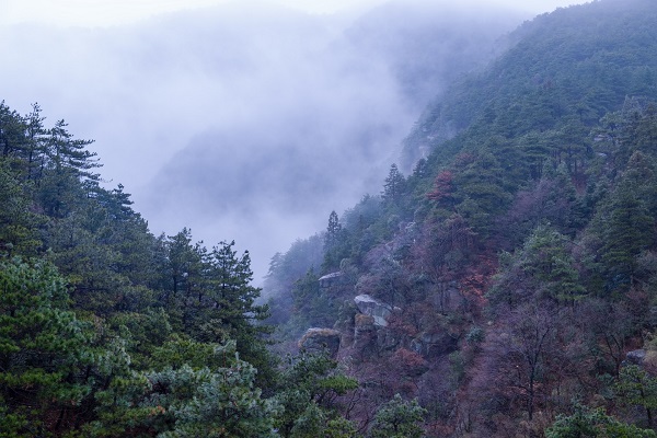 望庐山瀑布的诗意