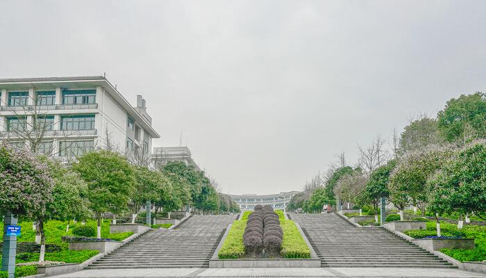 中外合作办学费用