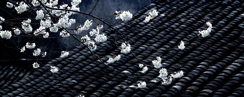 夜书所见哪句描写诗人思乡之情